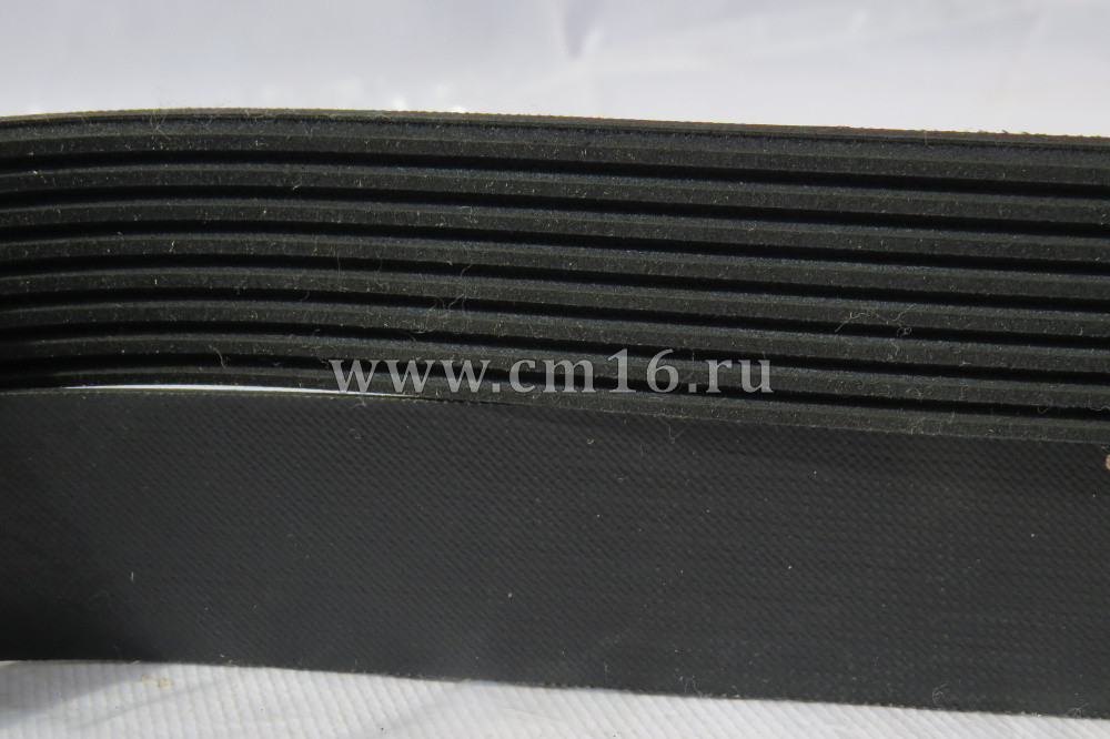 3289001 Ремень 1615/8РК 6ISBe270,ISDe185,230,270 Нефаз,ЛИАЗ (С)